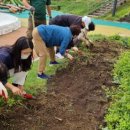 대구광역시 수성구 치매안심센터 이미지