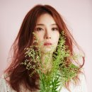 거미