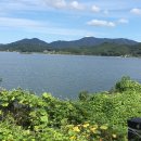 반송동198 이미지