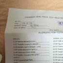 블레스의원 이미지