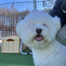 리앤드딩 이미지