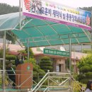 낙산초등학교 이미지