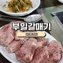 부일한우 | [삼전동 맛집] 부일갈매기 내돈내산후기