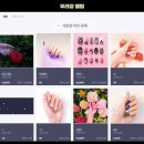 네일샵 창업 전 공비서 무료체험해본 후기
