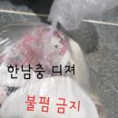 혈흔, 김칫국물, 커피, 고추장 다 지워주는 신박한 새끼 이미지