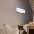 고영주택 이미지