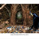 낭만수컷 - 창원시 진해구 충무로70번길 4 | 낭만수컷
