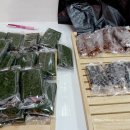 정희네콩떡팥떡