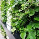 시청1층 화장실 이미지