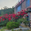 영덕 일출 민박 | 영덕단체펜션 찾는다면? 즐길 거리 가득한 일출민박펜션 후기