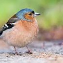 주엽1동 행정복지센터 이미지