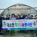 삼호리 이미지
