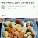 오랑우탄밥 무슨 순서로 먹을 건지 달글 이미지