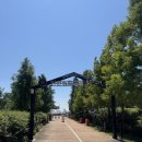 송도 국제 수영장 | 인천 송도국제캠핑장 &amp; 수영장 물놀이터 , 8월 아이와 함께 다녀온 후기 ᰔᩚ