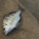 자장자장민박 이미지