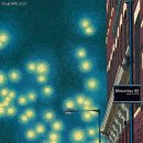 별빛풍경 이미지