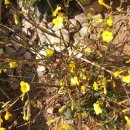 삼인요양병원 이미지