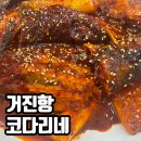 거진항코다리 이미지