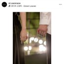 순수 | 대구 웨딩 촬영 ‘스튜디오 순수’ 촬영 후기, 드레스 종류, 헤어 변형