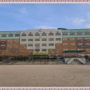 사능초등학교 이미지