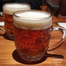 토리(Tori) 이미지