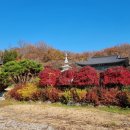 아산 대윤사 석조미륵보살입상 | [아산시 용두산 대윤사] 대각전에 모셔진 석조미륵보살