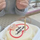 봄봄케이크 이미지