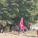 수아농장 이미지