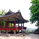 석정약국 이미지