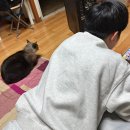 보윤 스테이 | 11월 일상 3