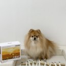 매드메이드 | 포옹앱에서 구매한 강아지화식 솔직후기