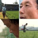 김제그릇