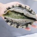 오느른 미 이미지