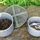 주천강자연휴양림 이미지