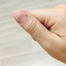 손톱나라눈썹공주 - 남동구 담방로21번길 61 | 손톱나라눈썹공주