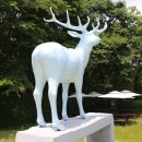 RENEW-태초의  이미지