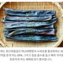 시골개 새참 이미지