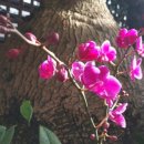 (주)헤이든 이미지