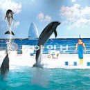 퍼시픽랜드주식회사 이미지