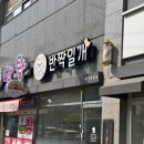 반짝일개 이미지