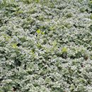 별이네농장 이미지