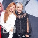 SES 카카오 검색결과