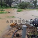 풍동농장 이미지