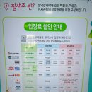 [속초] 속초시립박물관 노리숲길 숲속마켓