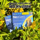 수유온누리약국 이미지