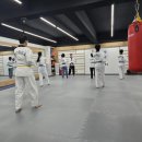 백석 성인 태권도 이미지