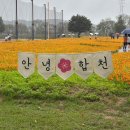 솔솔리조트 이미지