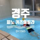 피노 키즈풀빌라 이미지