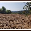 호문리농로 이미지