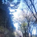 법도목장 | 남해가볼만한곳/남해양떼목장/남해추천여행지/남해상상양떼목장편백숲/